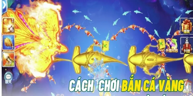 Hướng dẫn người chơi tham gia săn cá vàng