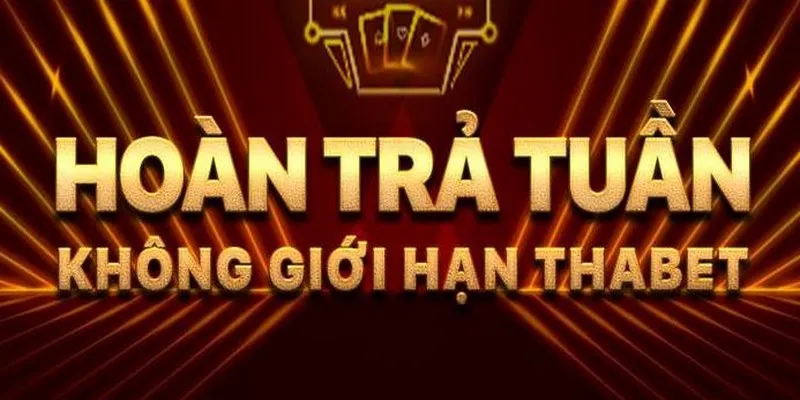 Thành viên VIP được hưởng khuyến mãi Thabet hoàn trả tỷ lệ cực cao